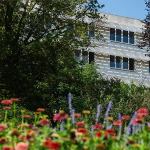 Moricz Student Living Budapest